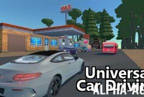 Universal Car Driving