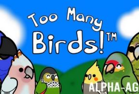 Too Many Birds!