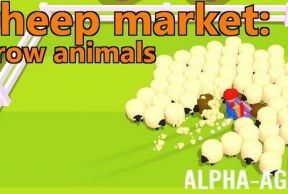 Sheep market: Grow animals