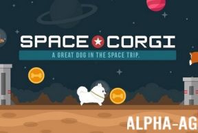 Space Corgi