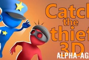 Catch the thief 3D