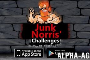 Junk Norris' Challenges