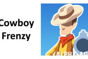 Cowboy Frenzy