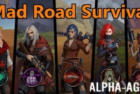 Mad Road Survival