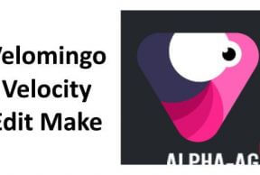 Velomingo