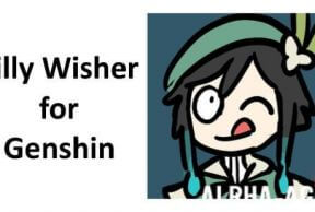 Silly Wisher for Genshin