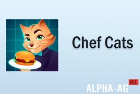 Chef Cats
