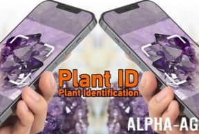 Plant ID: Plant Identification