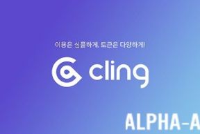 Cling Wallet
