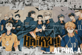 Haikyuu!! Fly high