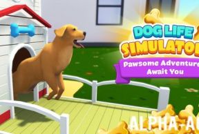 Dog Life Simulator