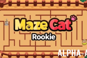 Maze Cat - Rookie