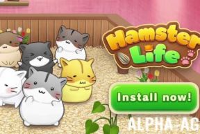 Hamster Life match and home