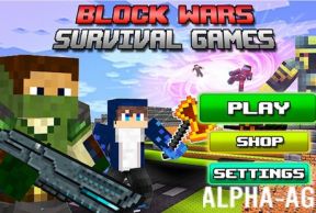 Block Wars Survival Games