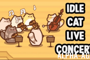 Idle Cat Live Concert