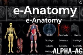 e-Anatomy