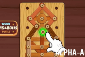 Wood Nuts & Bolts Puzzle