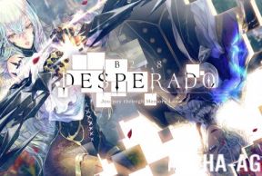 DESPERADO B218