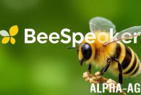 BeeSpeaker Learn English