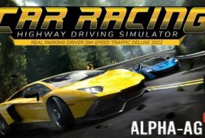 Car Driving Simulator Highway